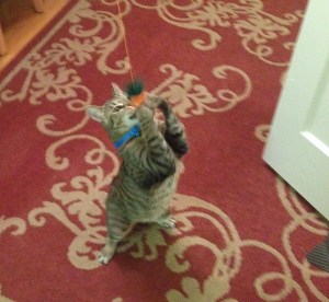 Photo Dec 18, 9 48 21 PM