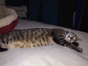 Photo Dec 21, 8 17 36 PM