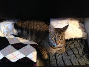 Photo Dec 24, 4 06 46 PM