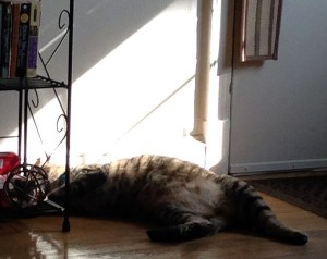 Photo Jun 22, 5 37 04 PM