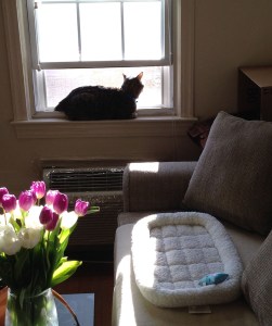 Photo Mar 17, 11 04 36 PM