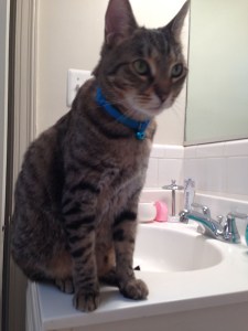 Photo Mar 22, 2 31 23 PM