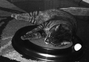 Photo May 16, 10 59 23 PM